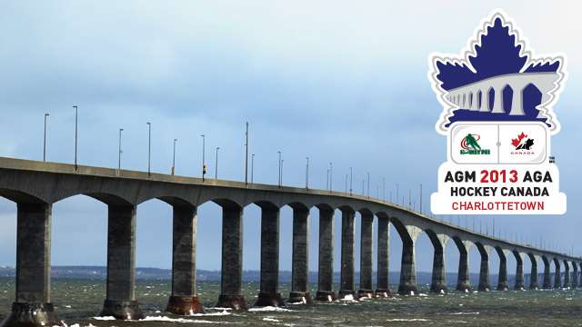 2013 agm logo with bridge 640