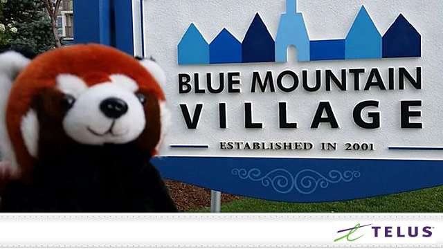 blog telus red panda blue mtn village 640