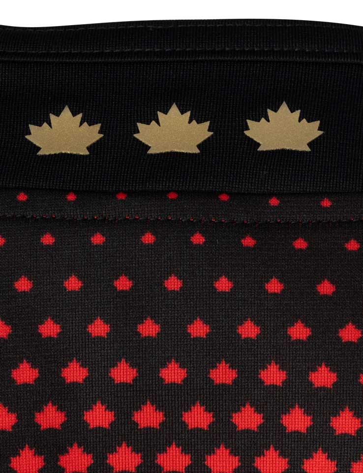 Close-up of three gold Maple Leaves inside the jersey collar