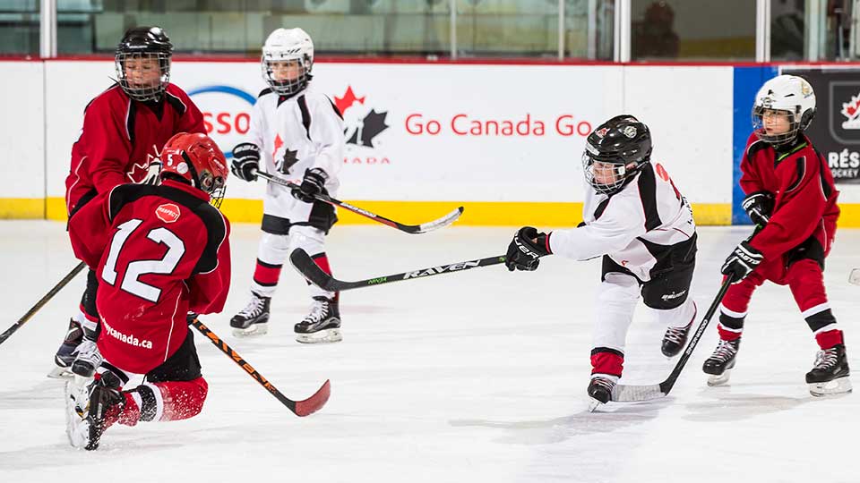 A Novice's Guide to Hockey”: NHL Rivalries to Know