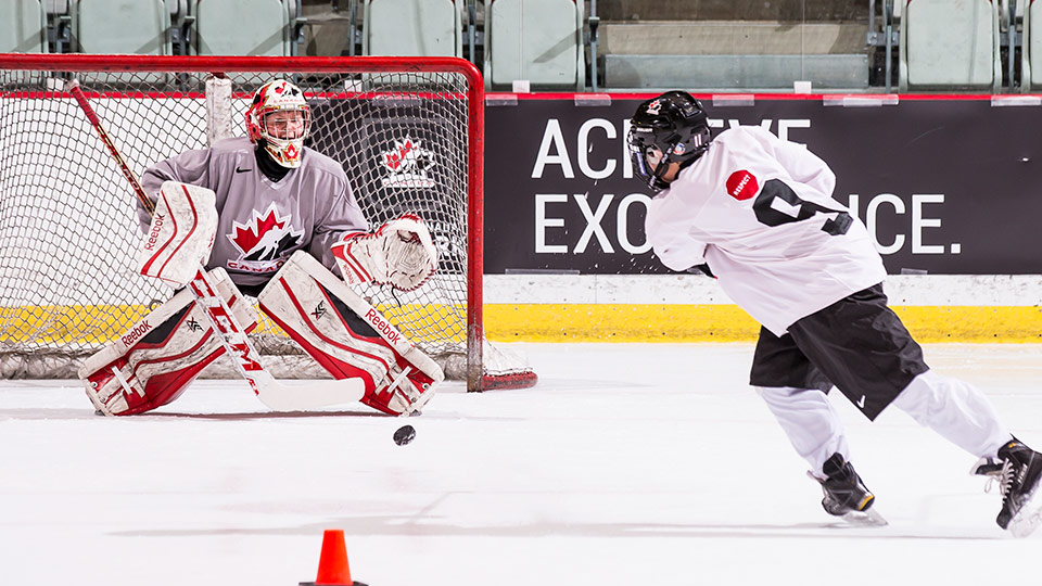 Shooting and scoring hockey goals