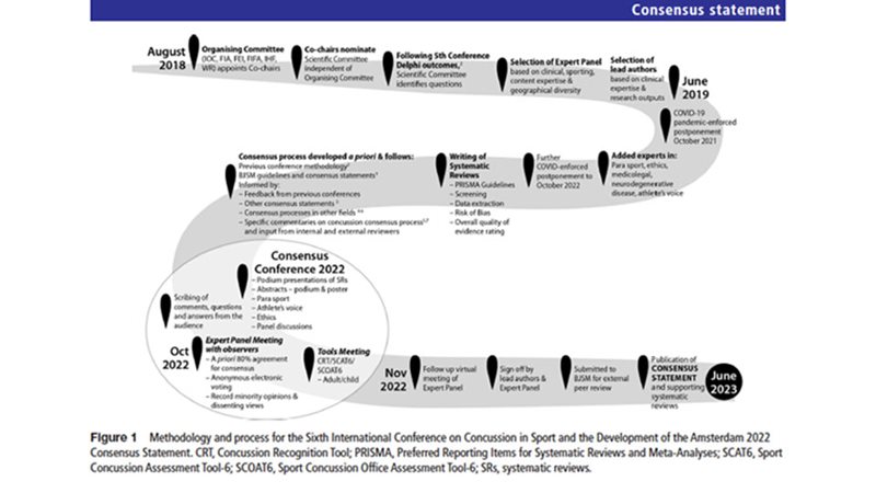 Amsterdam Consensus Statement on Concussion in Sport