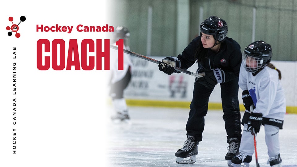 hcll coach 1 e??w=640&h=360&q=60&c=3