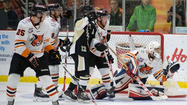 lloydminster bobcats action 1