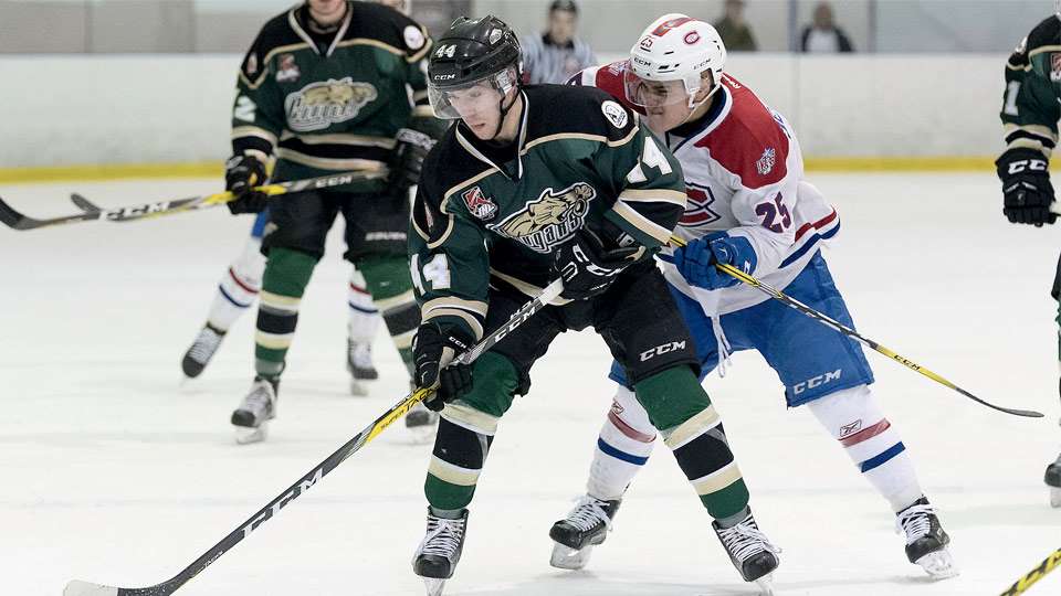 cobourg cougars feature 2