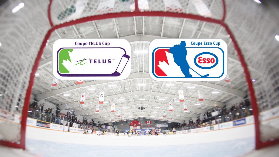 telus and esso annoucement??w=640&h=360&q=60&c=3