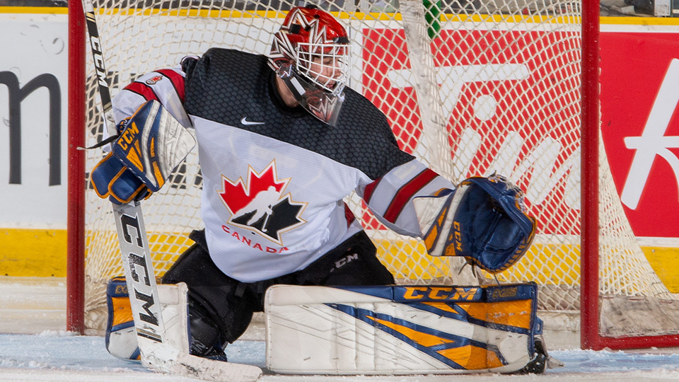 Hockey Week in Regina' to feature Stanley Cup and more ahead of