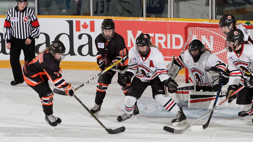 Turn female into pig slut Midget hockey national tournament