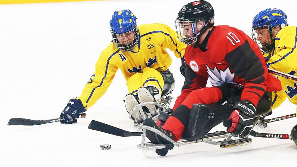 Sled Hockey nas Paralimpíadas de 2018 - NHeLas