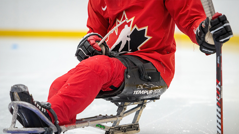 Hockey Blog In Canada: Simply Beautiful