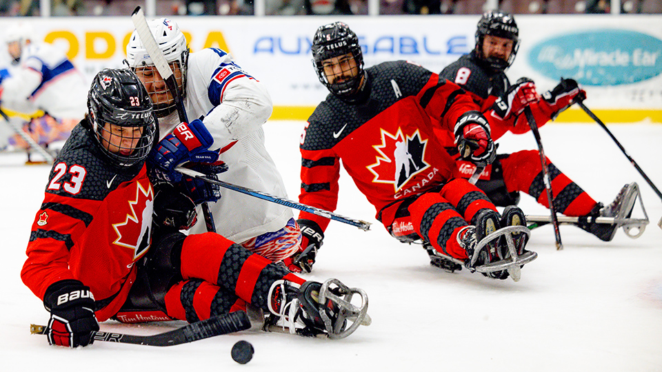 Para Hockey Series Canada v.  USA: Competitive Preview