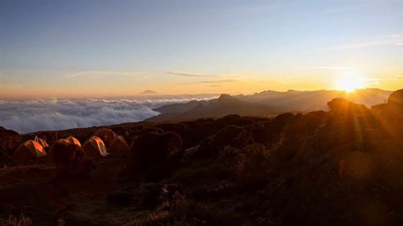 Vue sur les environs du mont Kilimandjaro.