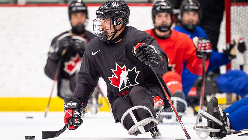 npt training camp release