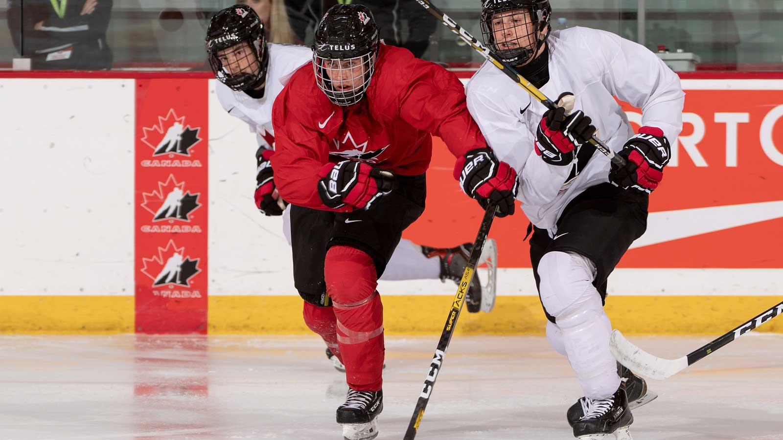 Ice rinks in Castlegar, Creston and Nelson to reopen in September - Creston  Valley Advance