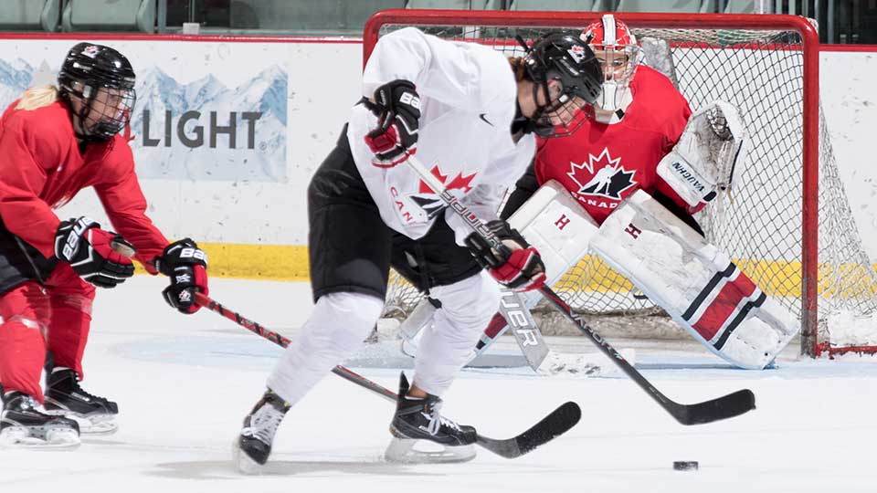 2018 nwt fall festival feature??w=640&h=360&q=60&c=3