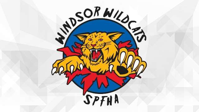 windsor wildcats logo 640